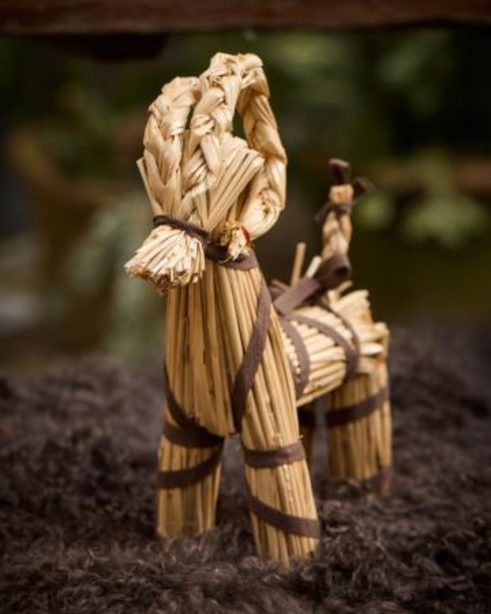 Julebuk_brun_TG (2) Julebuk_brun_TG (2)