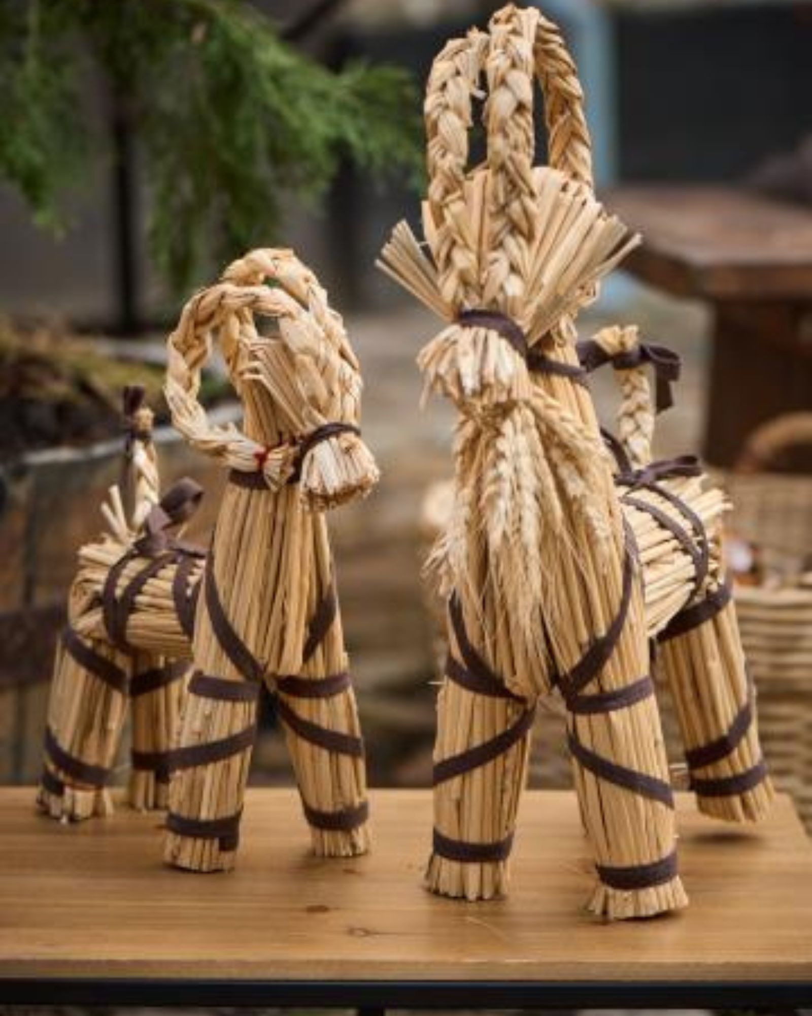 Julebuk_brun_TG (3) Julebuk_brun_TG (3)