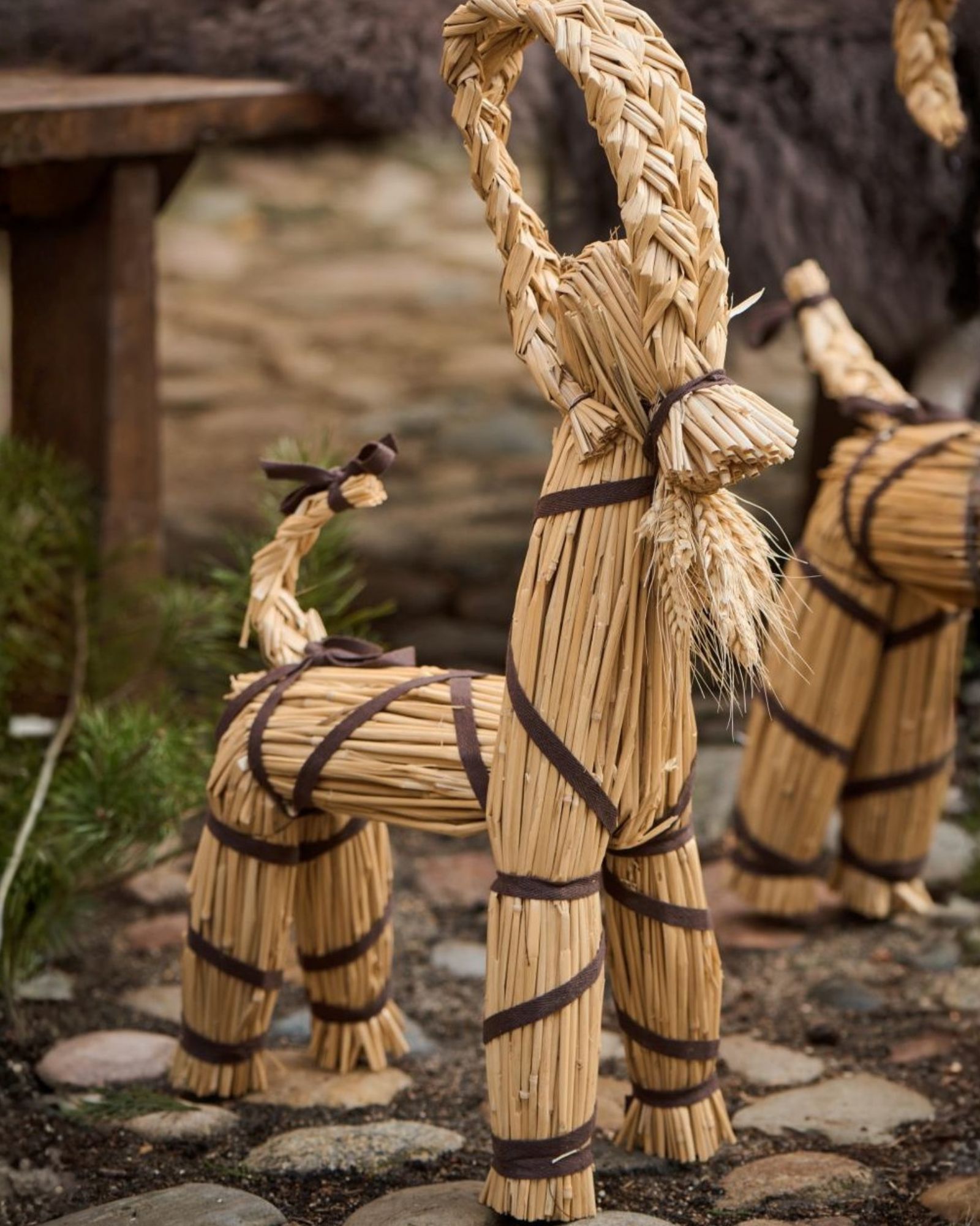 Julebuk_båndogskæg_TG_2 Julebuk_båndogskæg_TG_2