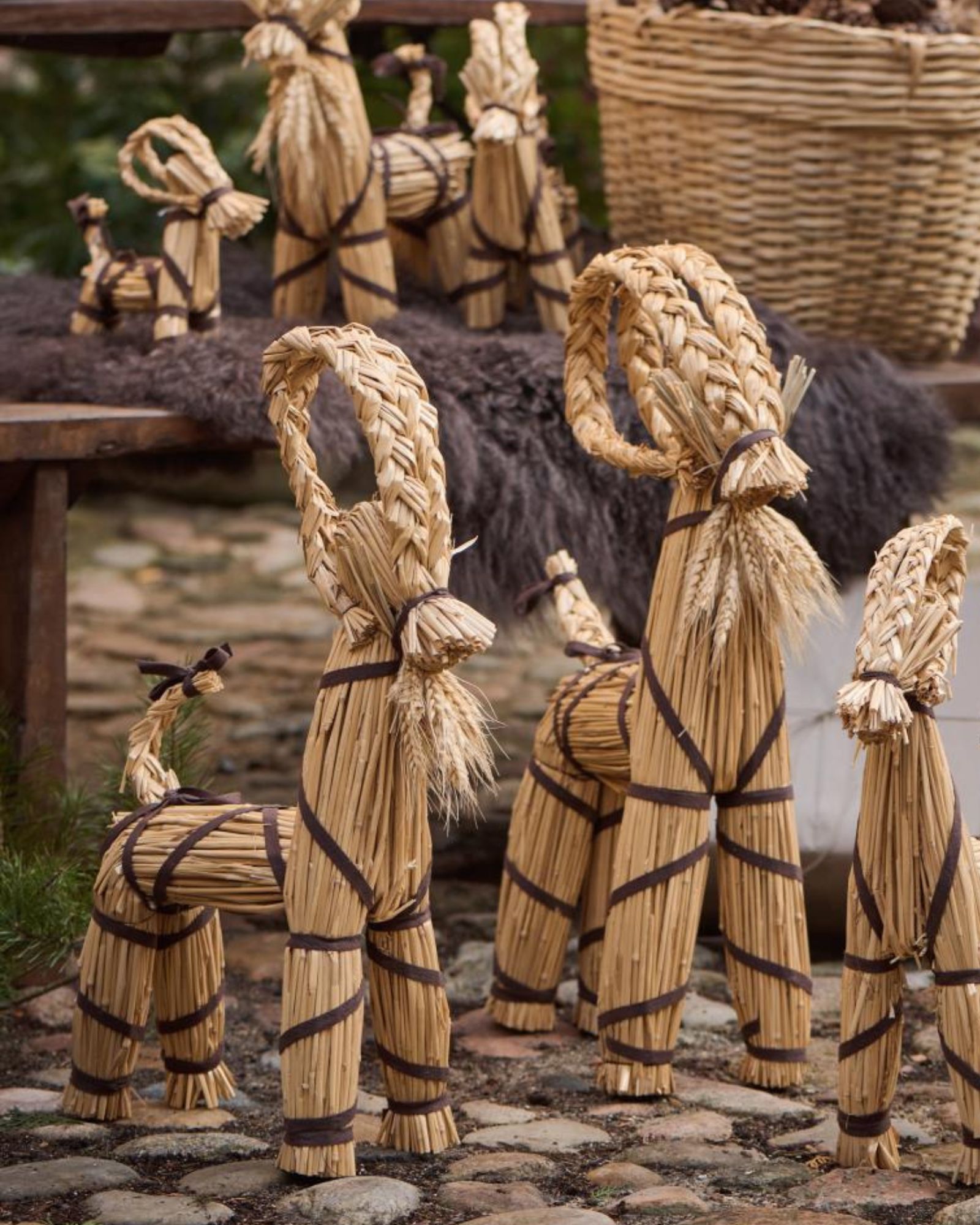 Julebuk_båndogskæg_TG_3 Julebuk_båndogskæg_TG_3