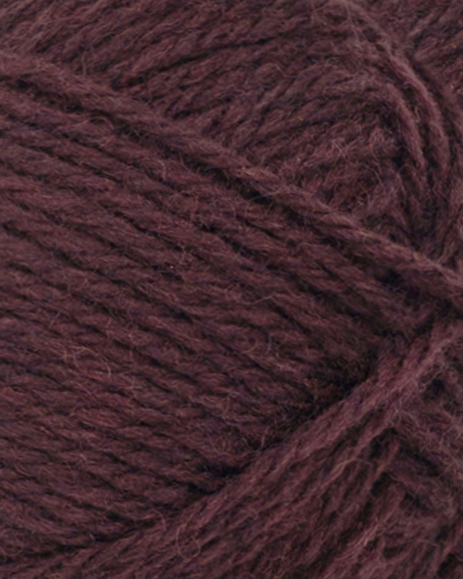 Atlas_PetiteKnit_4682_2 Atlas_PetiteKnit_4682_2