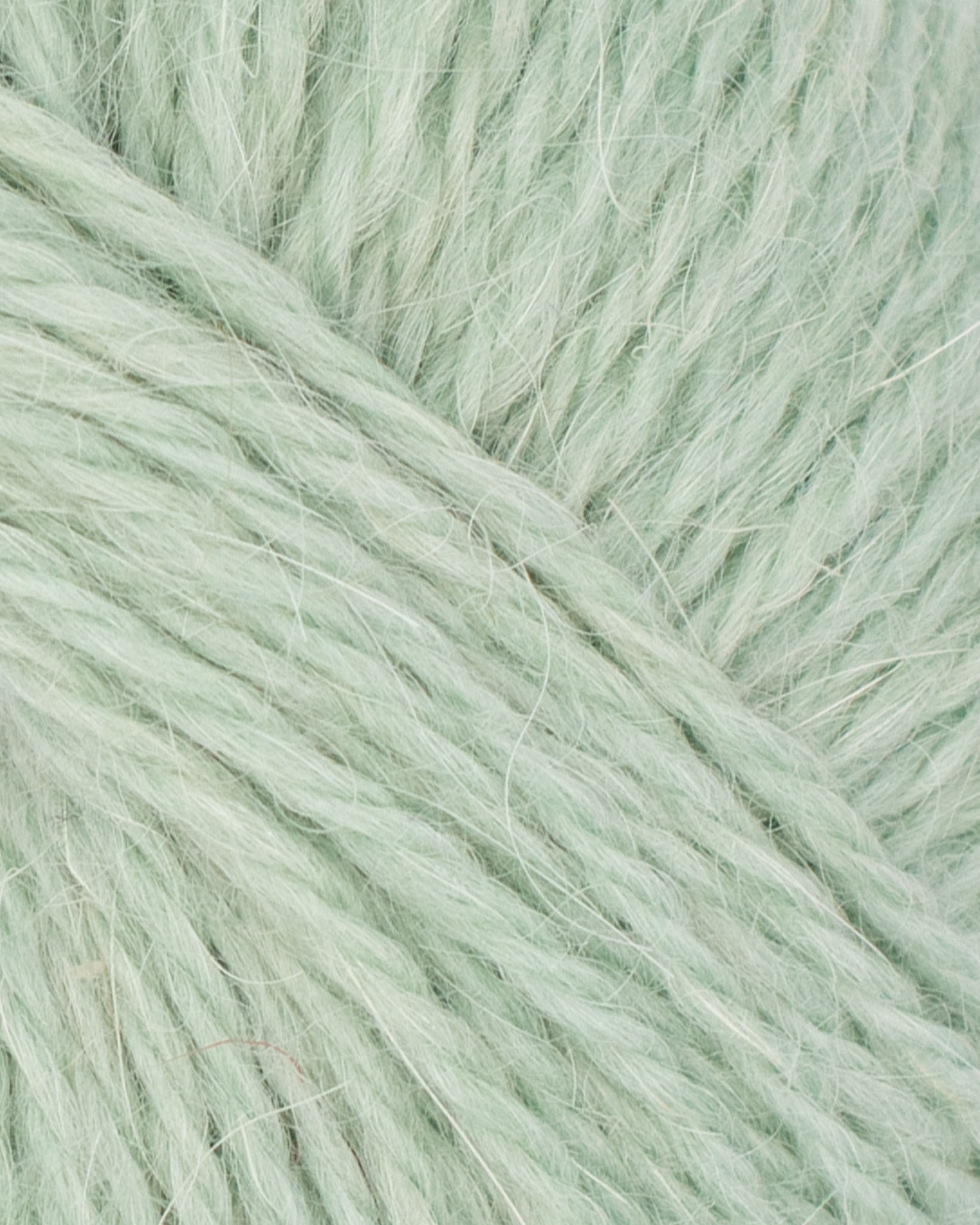 valmue-tg-2521-2 valmue-tg-2521-2